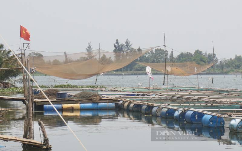 Vùng đất này ở Quảng Nam nổi tiếng với danh xưng “Đất bảy nghề”